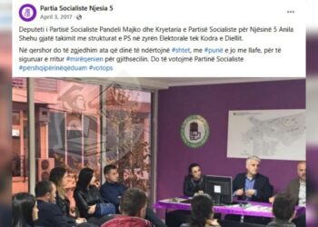 Drejtoresha e RSU nr.1 Anila Shehu punëson me rrogë vajzën e deputetit Pandeli Majko