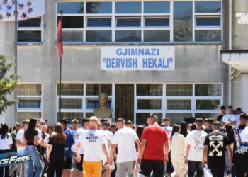 Skandali në Mallakastër, dublime masive të numrave të amzës në gjimnaz, “viktimë” edhe drejtoresha e ZVA-së