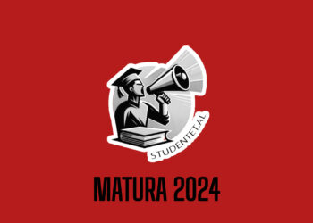 Matura 2024: Teza e Anglishtes